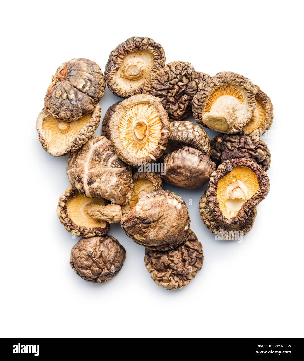 Getrocknete Shiitake-Pilze isoliert auf weißem Hintergrund. Stockfoto