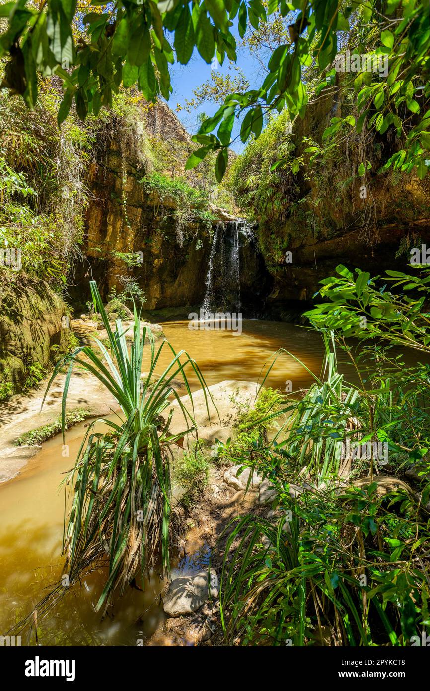 Regenwald-Wasserfall, Madagaskar Wildnis Landschaft Stockfoto