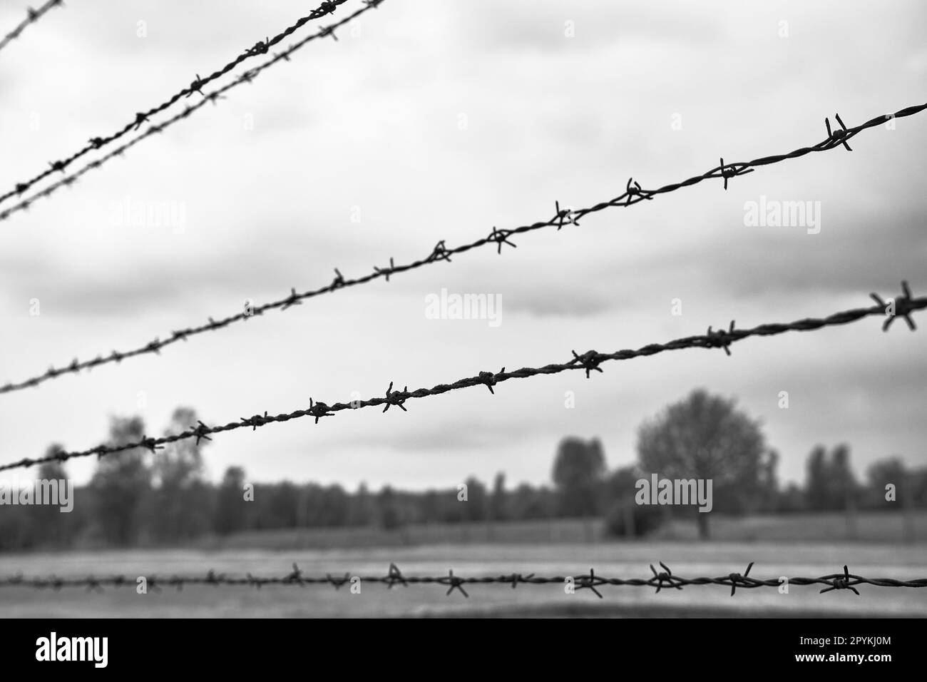 Stacheldraht in einem Vernichtungslager in Polen aus der Zeit des Zweiten Weltkriegs Stockfoto