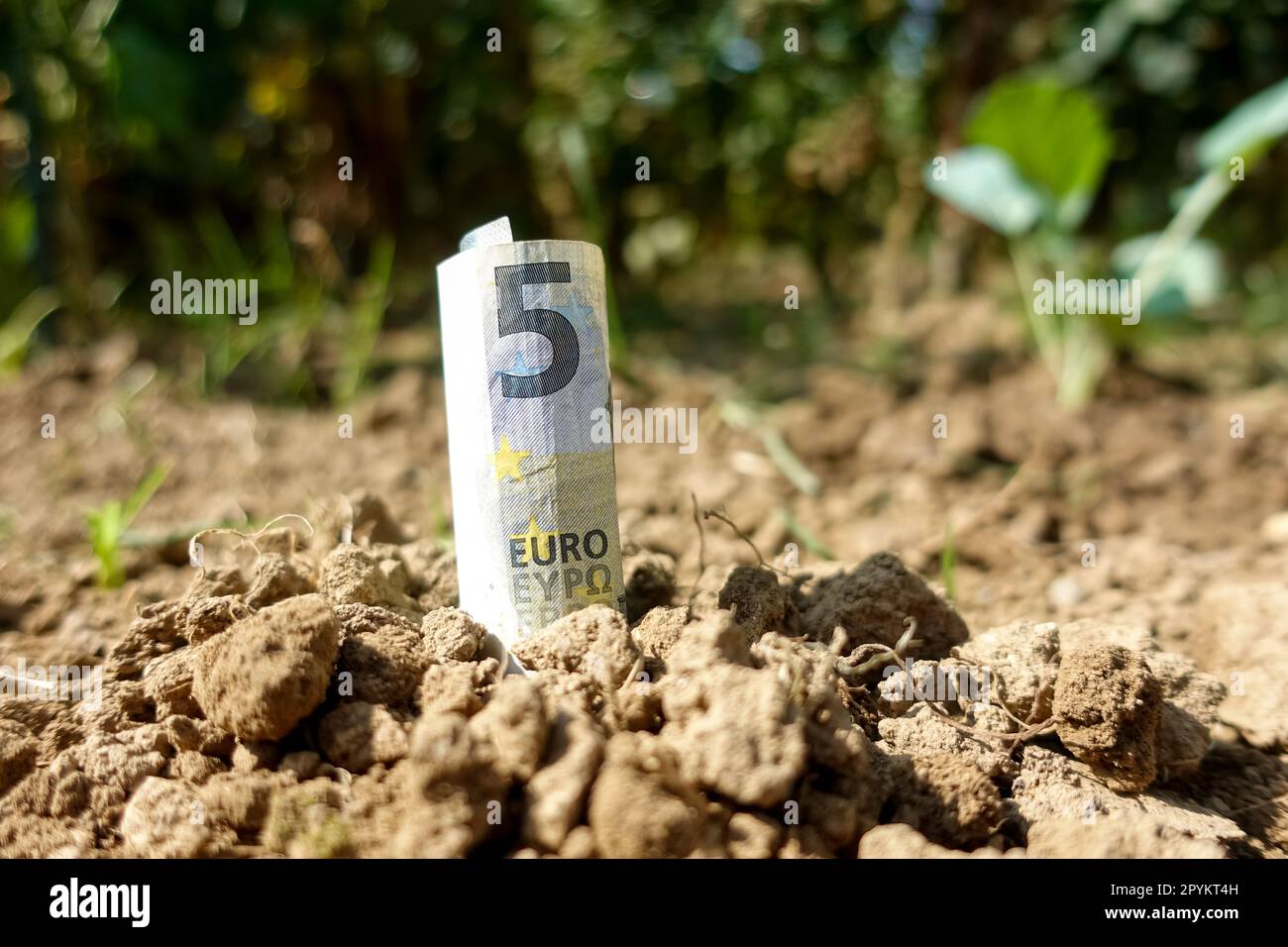 5-Euro-Note im Boden als Konzept für Wachstum, Vermögensverwaltung, Investitionen und Sparen in Europa Stockfoto