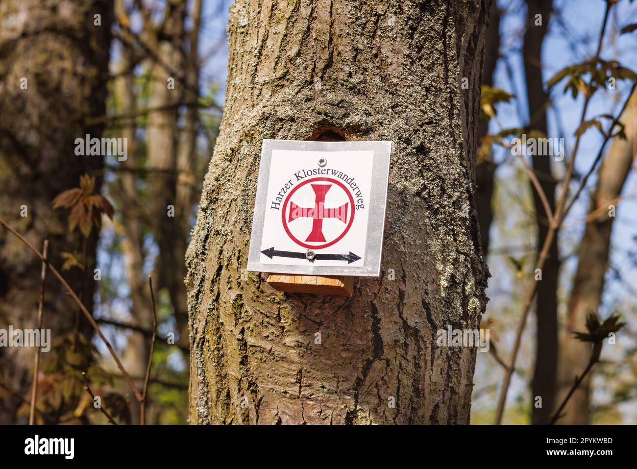 Harzer Klosterwanderweg, Harz Kloster Wanderweg. Fernwanderweg in den Harz-Bergen, Niedersachsen und Sachsen-Anhalt. Stockfoto