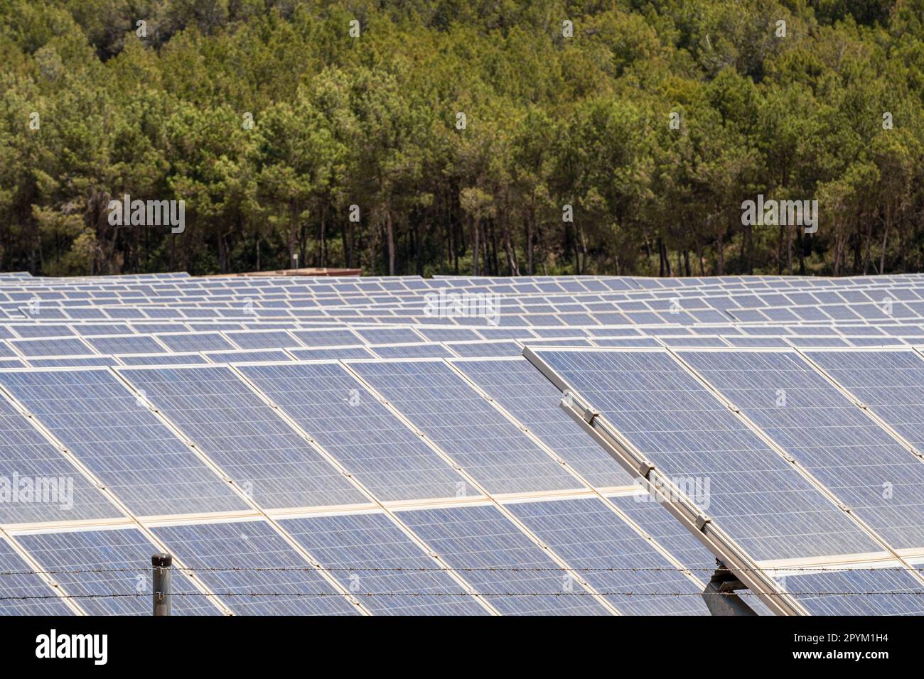 parque de energía Solar fotovoltaica, ses Barraques, Calviá, Mallorca, Balearen, Spanien Stockfoto