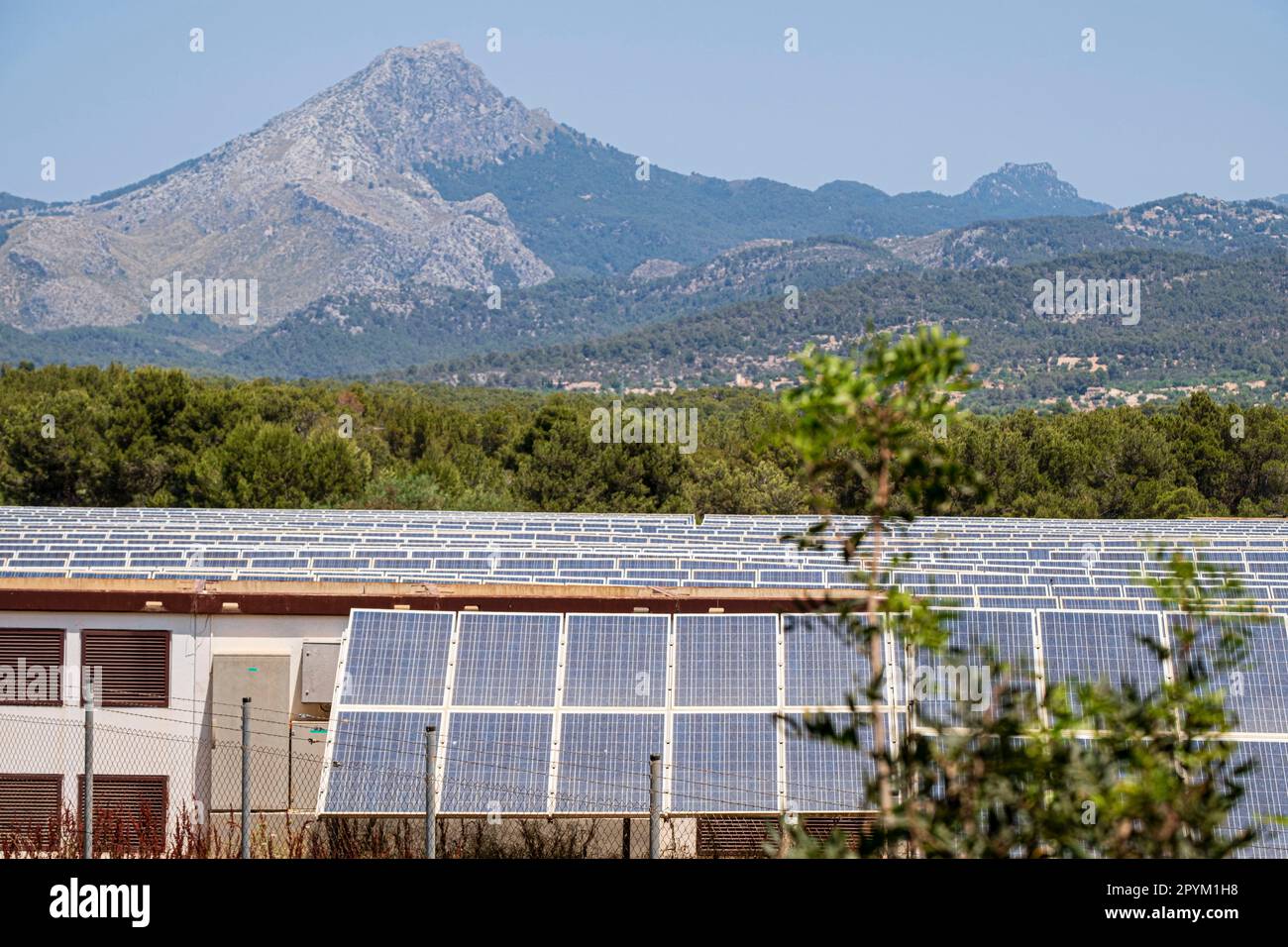 parque de energía Solar fotovoltaica, ses Barraques, Calviá, Mallorca, Balearen, Spanien Stockfoto