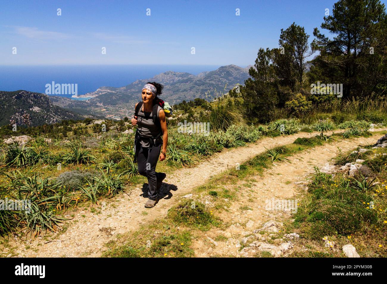 Escursionista en la Sierra de Alfabia. Sierra de Tramuntana. Mallorca. Islas Baleares. Spanien. Stockfoto