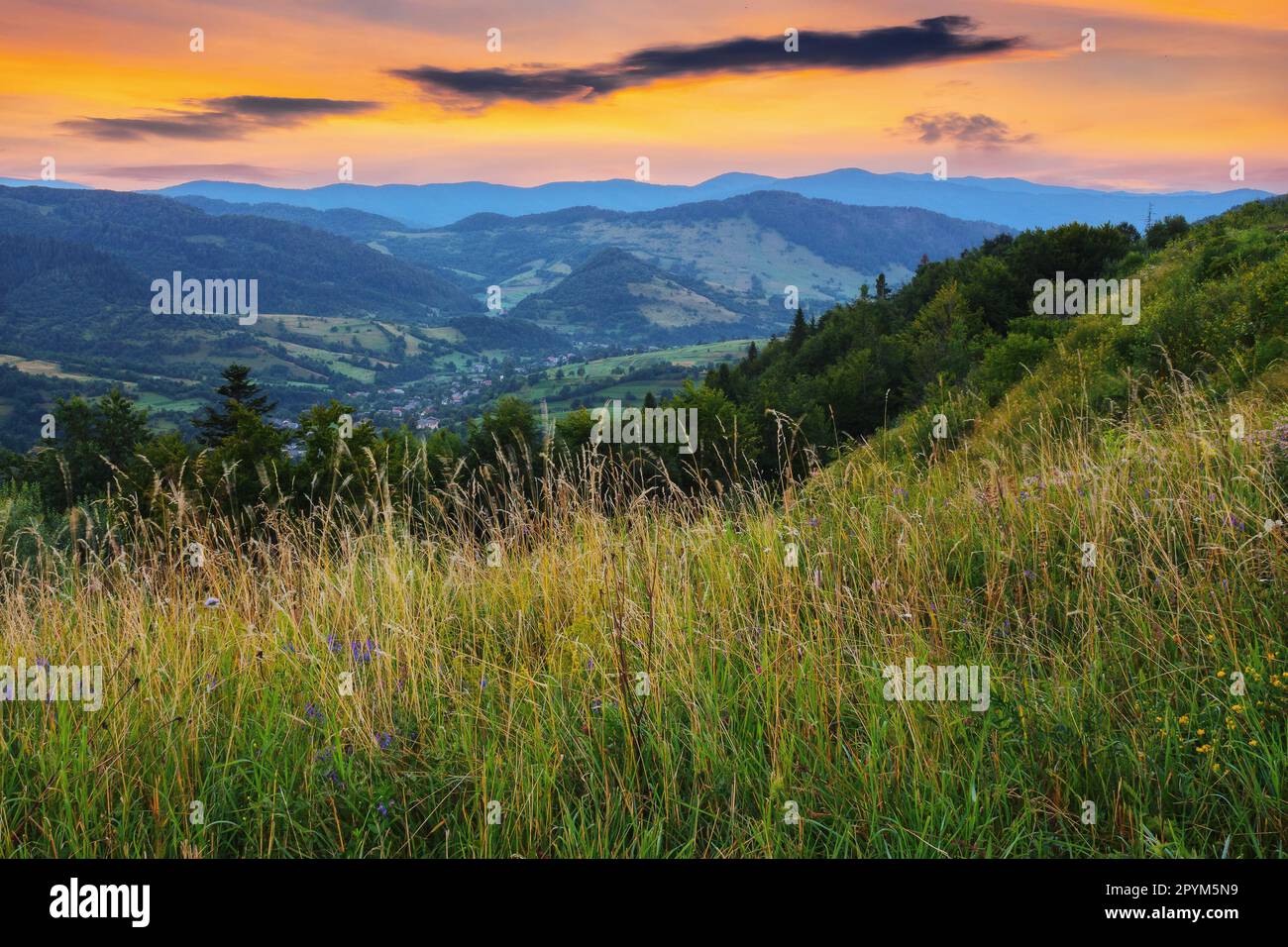 Ländlicher Sonnenaufgang über Tal und Hügeln. karpaten-Landschaft im Sommer Stockfoto