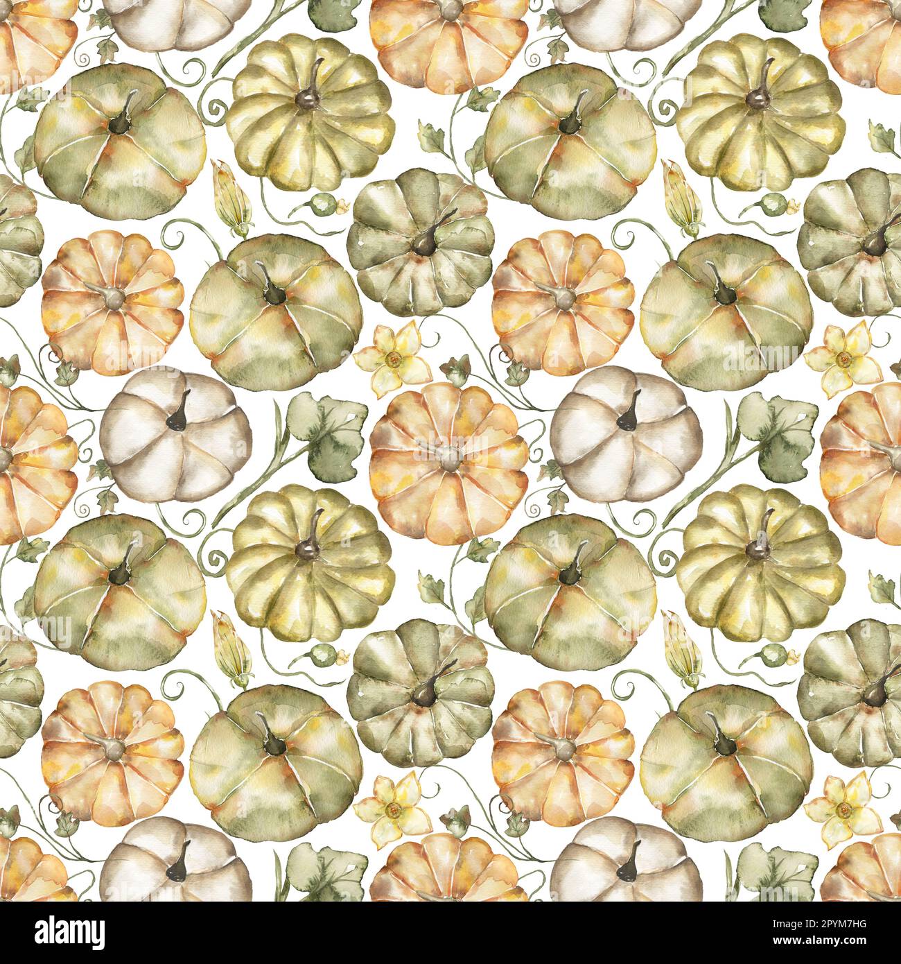 Wasserfarbener, handgezeichneter Kürbis mit nahtlosem Muster. Herbstblumen wiederholen Papier. Wunderschöner Textildruck Stockfoto