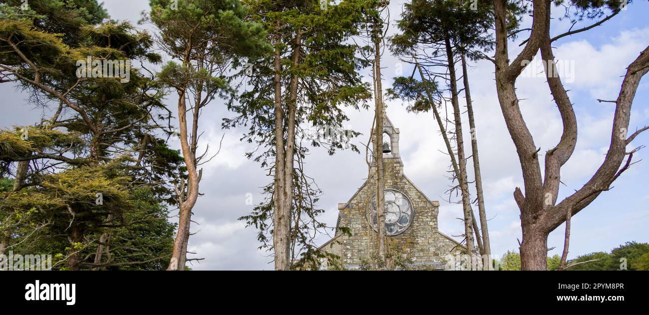 Nadelbäume vor einem grauen, wolkigen Himmel, Landschaft. Steinkirche hinter den Bäumen. Stockfoto