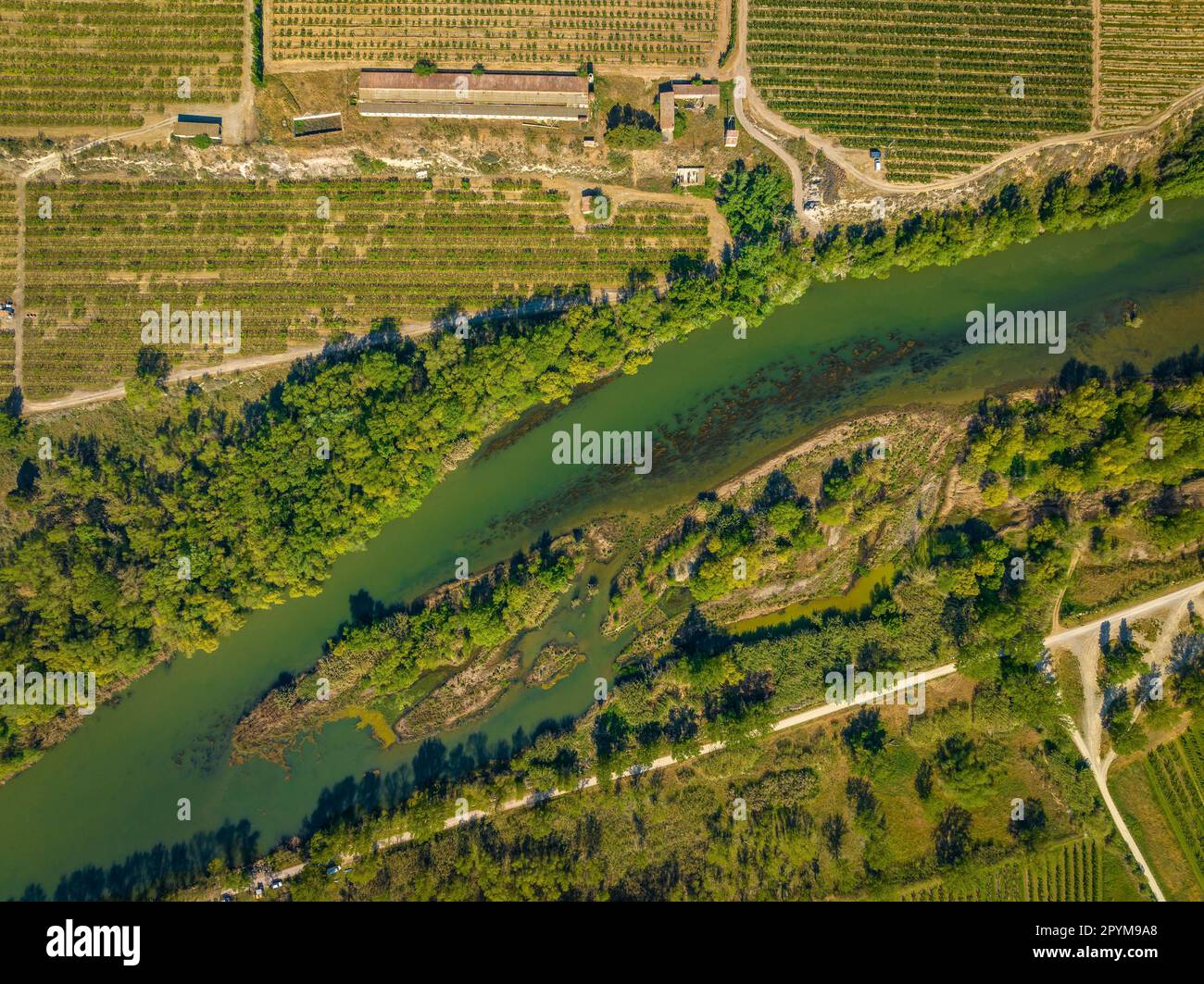 Luftaufnahme des Zusammenflusses zwischen den Flüssen Segre, Cinca und Ebro im Frühjahr (Segrià, Lleida, Katalonien, Spanien) Stockfoto