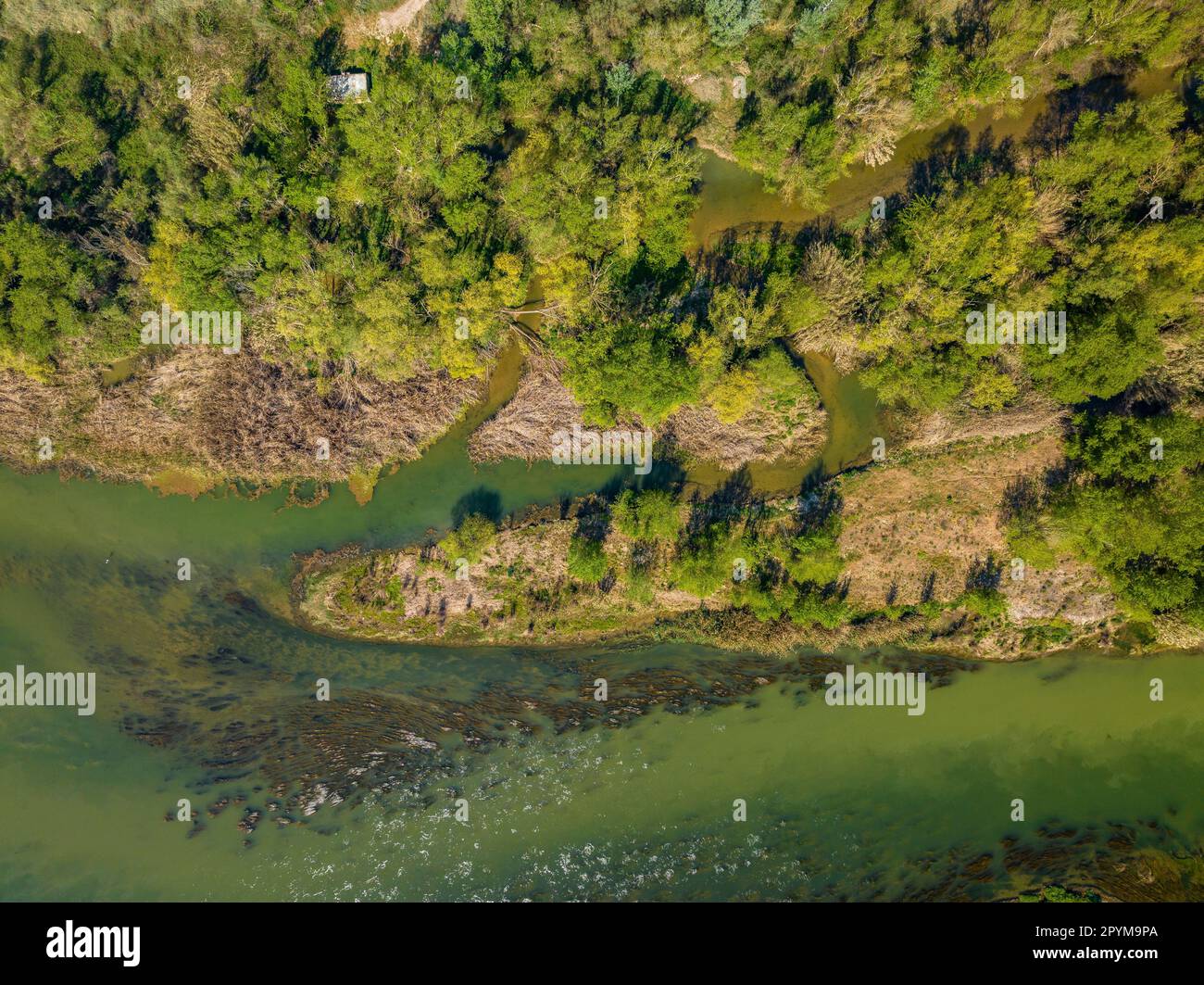 Luftaufnahme des Zusammenflusses zwischen den Flüssen Segre, Cinca und Ebro im Frühjahr (Segrià, Lleida, Katalonien, Spanien) Stockfoto