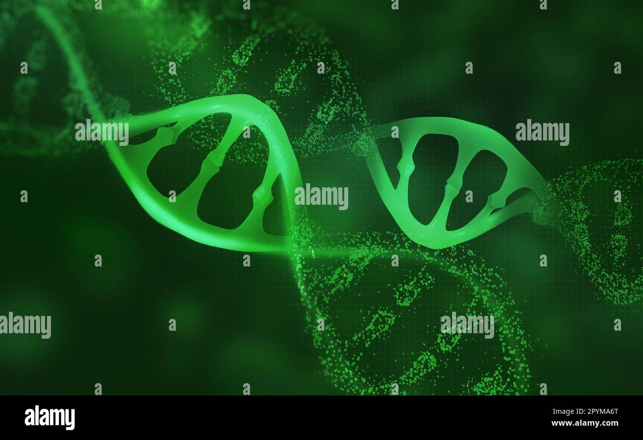 DNA-Forschungsmolekül. 3D Abbildung. Analyse der Struktur des menschlichen Genoms Stockfoto