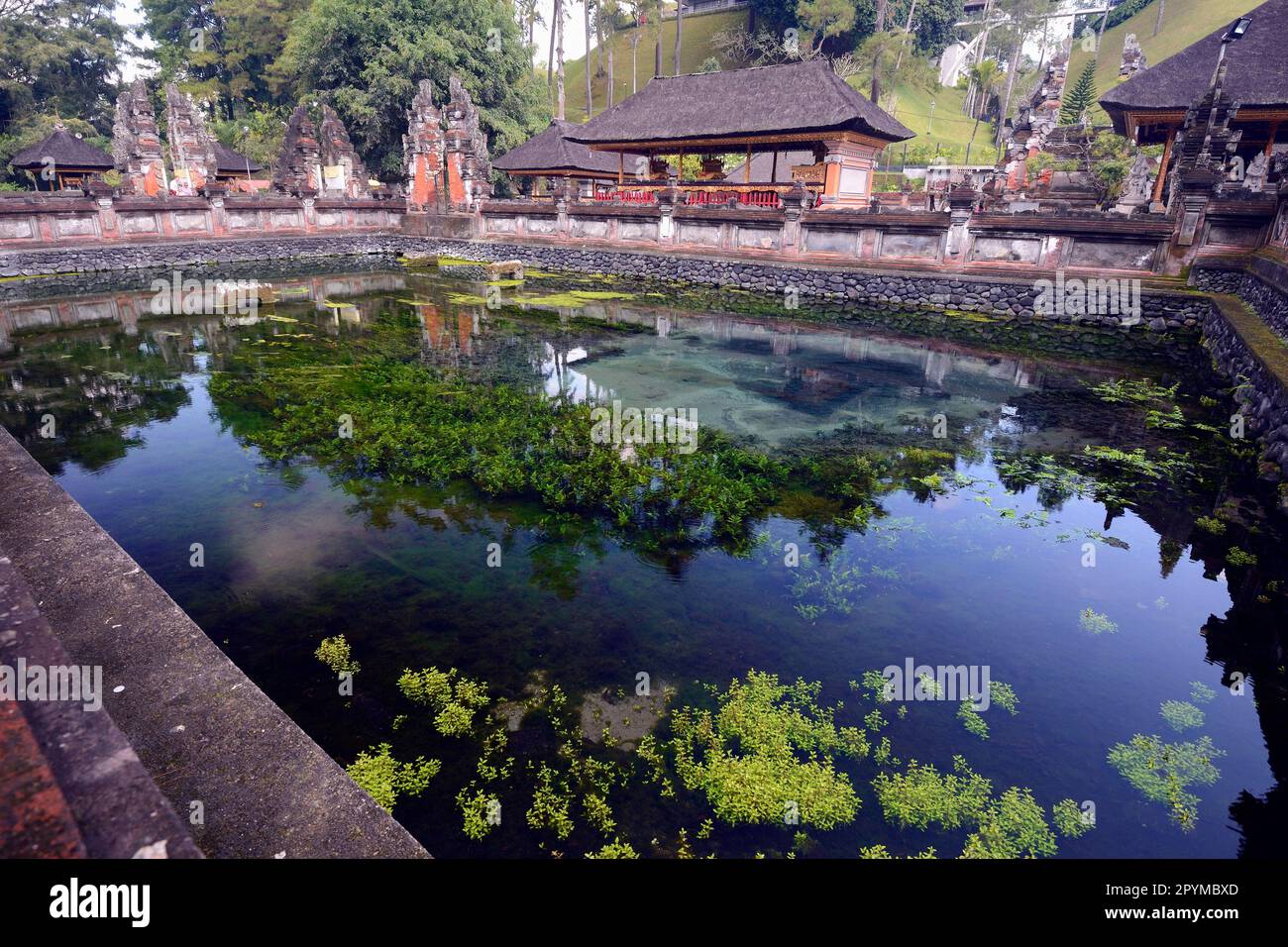 Heiliger Teich mit unterirdischer Süßwasserversorgung, Tirta Empul Wassertempel, Bali, Indonesien Stockfoto
