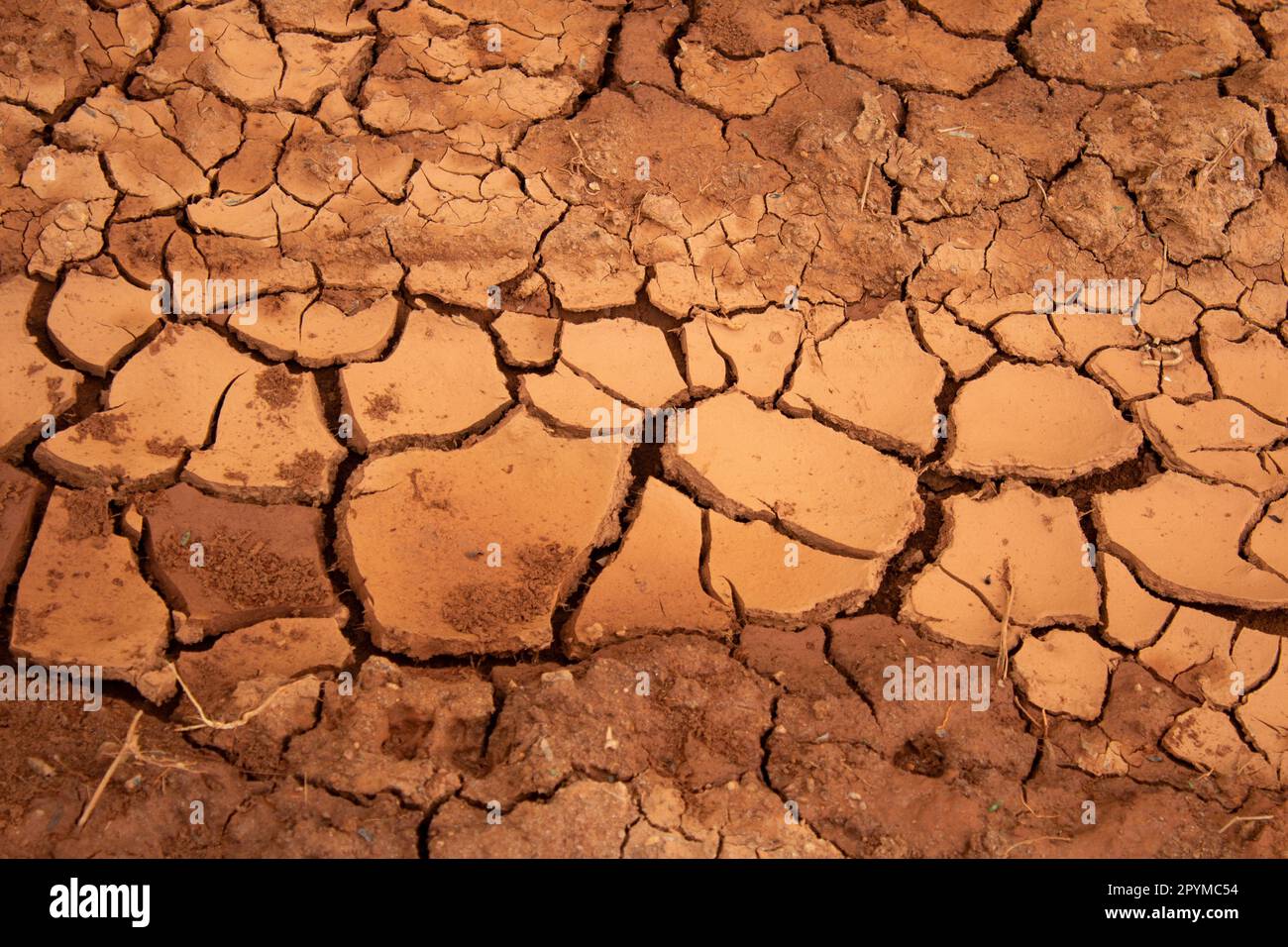 Goiania, Goias, Brasilien – 30. April 2023: Textur von trockenem und rissigem Boden. Konzept des Niederschlags und der Umweltbelastung. Stockfoto