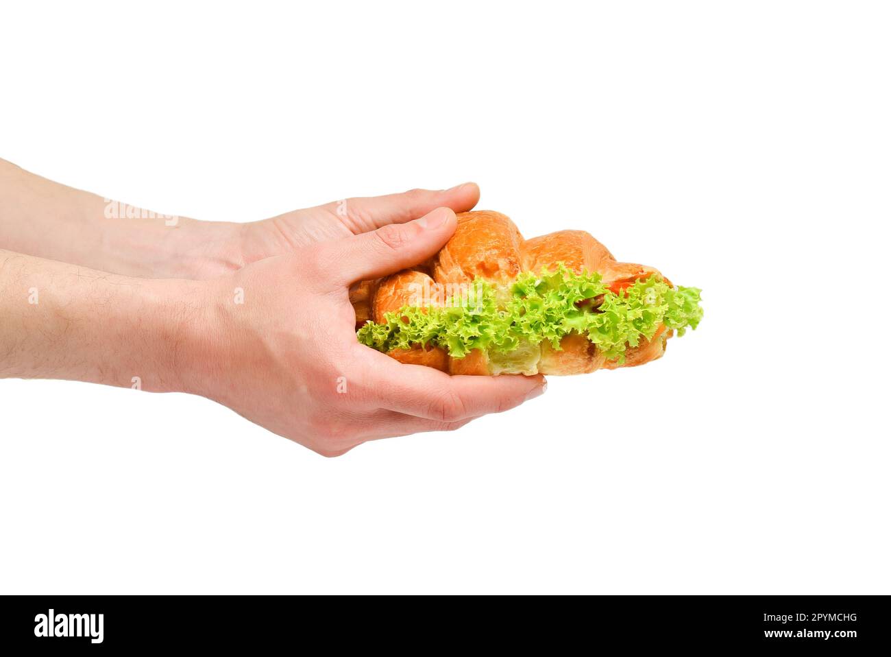 Verkauf von frisch gebackenen knusprigen Sandwich-Croissants mit Salat. Fast Food wird in Handkopien aufbewahrt. Stockfoto
