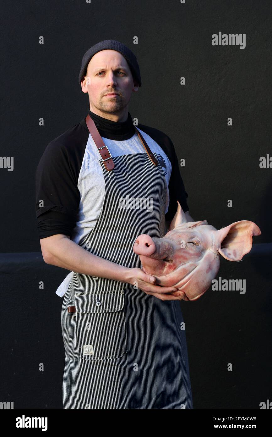 Metzger hält einen Schweinekopf. Schwein in einem Tag, eintägiger Fleischerzuchtsschwein in einem Tag, eintägiger Fleischereikurs Stockfoto