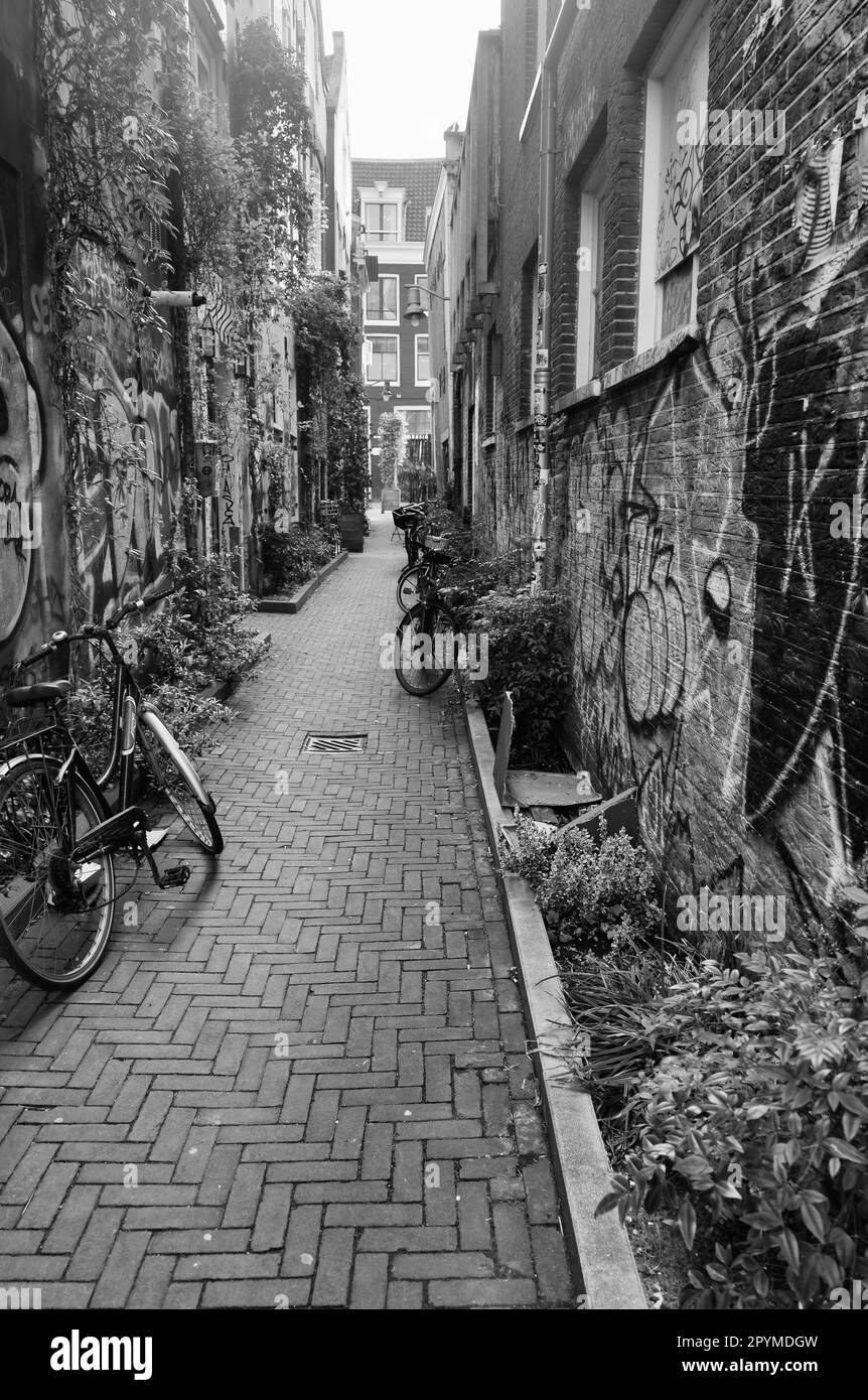 Graffiti und Fahrräder in einer Gasse am Bloemenmarkt, eine typische Amsterdamer Szene, Holland, Europa in Schwarz-weiß. Stockfoto
