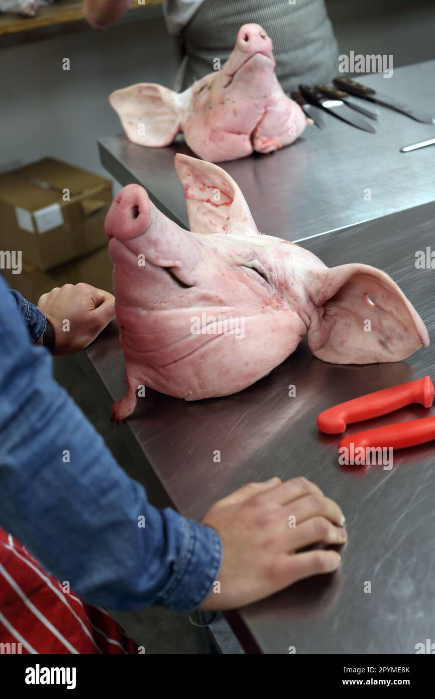 Schwein an einem Tag, eintägiger Metzgerkurs Stockfoto