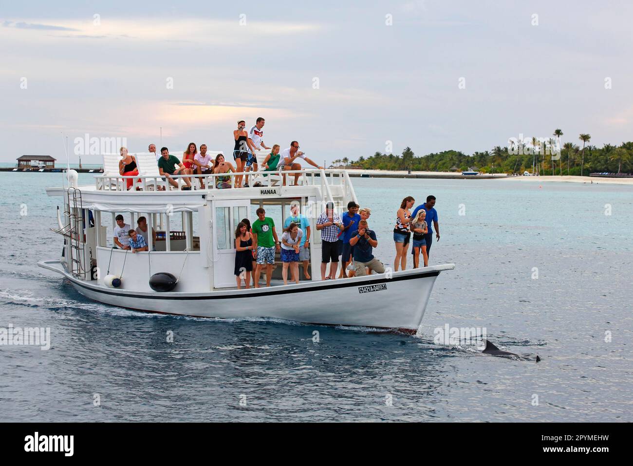 Urlauber auf einem Ausflugsboot, die Delfine, den Indischen Ozean und die Malediven beobachten Stockfoto