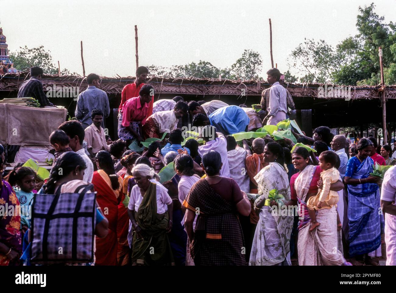 Kostenlose Verteilung von Speisen für ein Tempelfestival in Nellithurai bei Mettupalayam, Tamil Nadu, Südindien, Indien, Asien Stockfoto