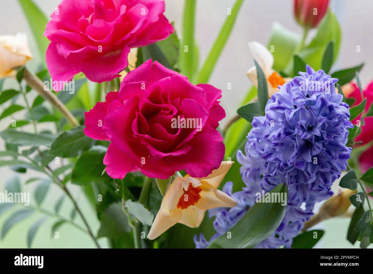 Gemischte Blüten in einer Vase (Hyazinthe, Rosen, Narzissen). Stockfoto