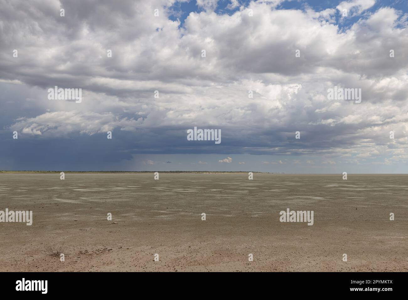 Malerische Regenwolken über der etosha-Pfanne in namibia Stockfoto