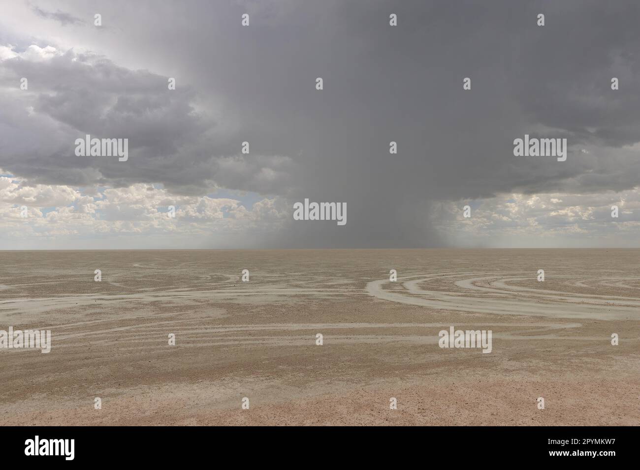 Malerische Regenwolken über der etosha-Pfanne in namibia Stockfoto