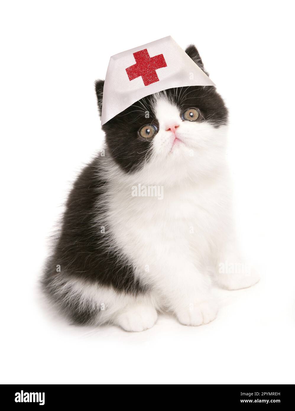Kätzchen mit medizinischem Hut des Tierarztes isoliert auf weißem Hintergrund Stockfoto