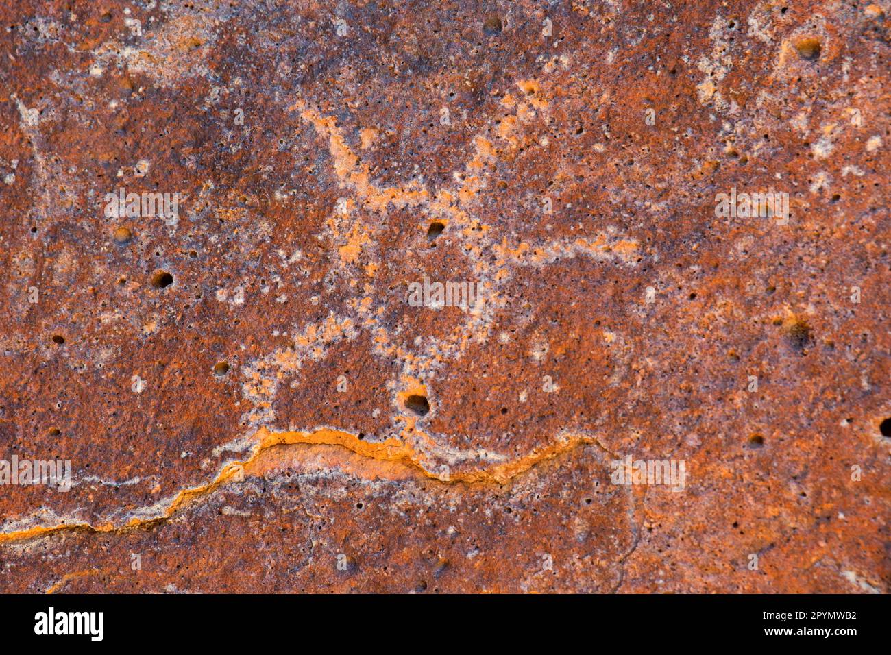 Indianische Felszeichnungen am Indian Head Trail im Big Bend National Park, Texas Stockfoto