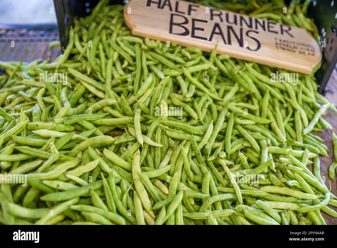 Nahaufnahme von einem Haufen gepflückter grüner Bohnen auf einem Tisch auf dem Darnell Farms Open Air Market. Stockfoto