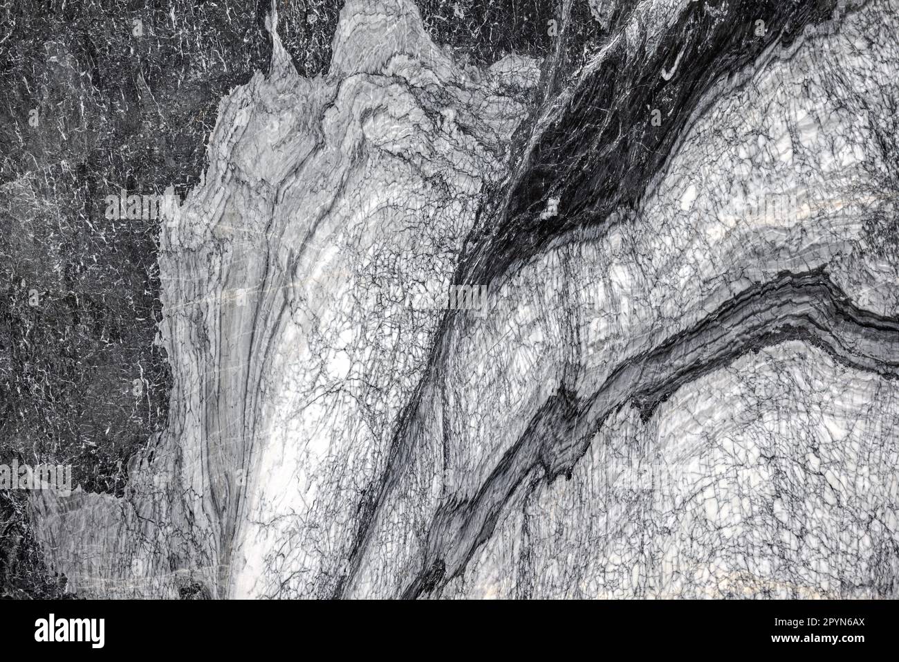 Luxuriöser italienischer Schwarz-Weiß-Hintergrund aus Marmorstein Stockfoto