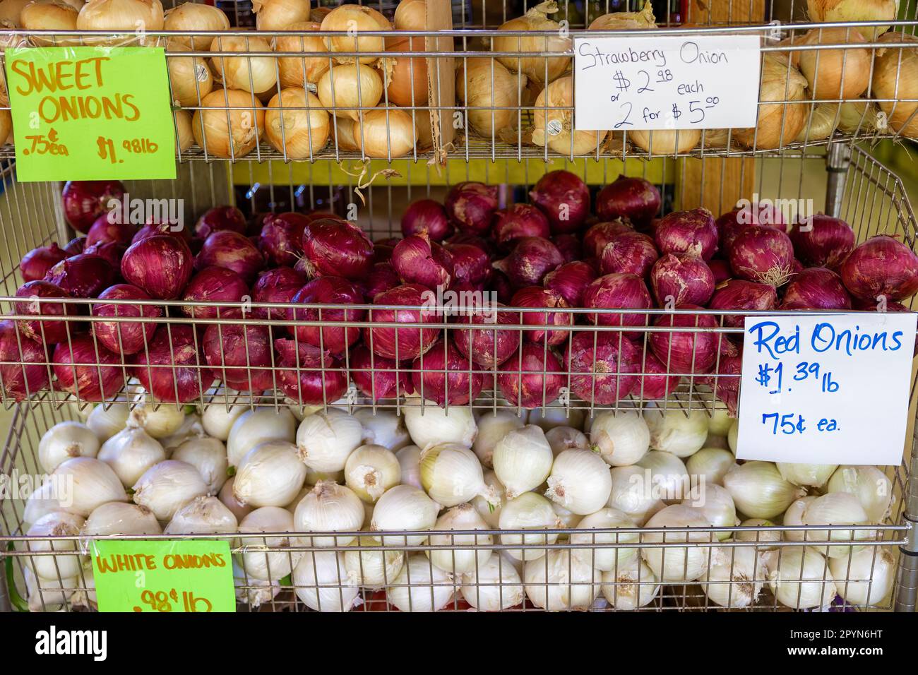 Eine Vielzahl von Zwiebeln, die auf einem Freiluftmarkt in Stahlaxkets verkauft werden. Stockfoto