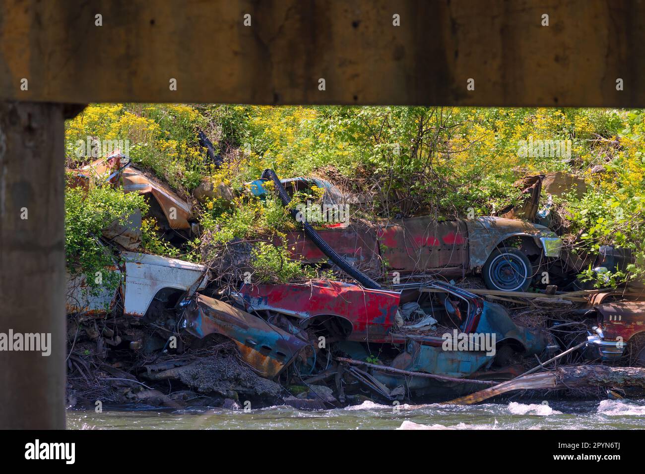 Alte Fahrzeuge, die an einem Flussufer gestapelt wurden, um die Erosion in North Carolina zu kontrollieren Stockfoto