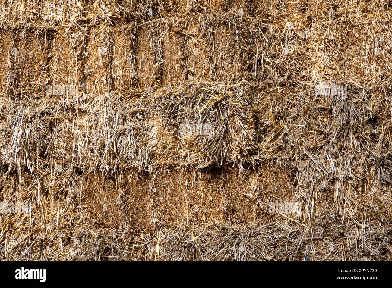 Heuballen mit getrocknetem Gras gestapelt, Viehfutter, Niederlande Stockfoto