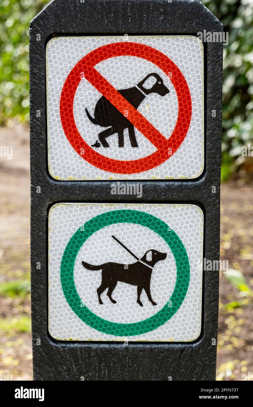 Wegweiser mit Piktogrammen für Hunde, deren Stuhlgang verboten ist, und Hunde müssen im Wald in Hilversum, Niederlande, an der Leine stehen Stockfoto