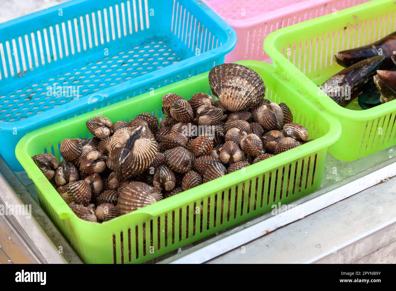 Korb mit Seeigeln mit brauner Schale auf einem Marktstand in thailand. Stockfoto