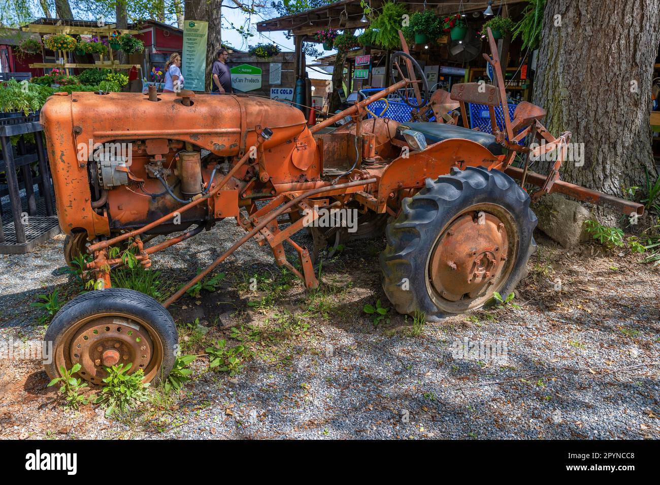 Bryson, North Carolina, USA - 19. April 2023: Alter Traktor auf dem Freiluftmarkt von Darnells Farm neben dem Baum geparkt. Stockfoto