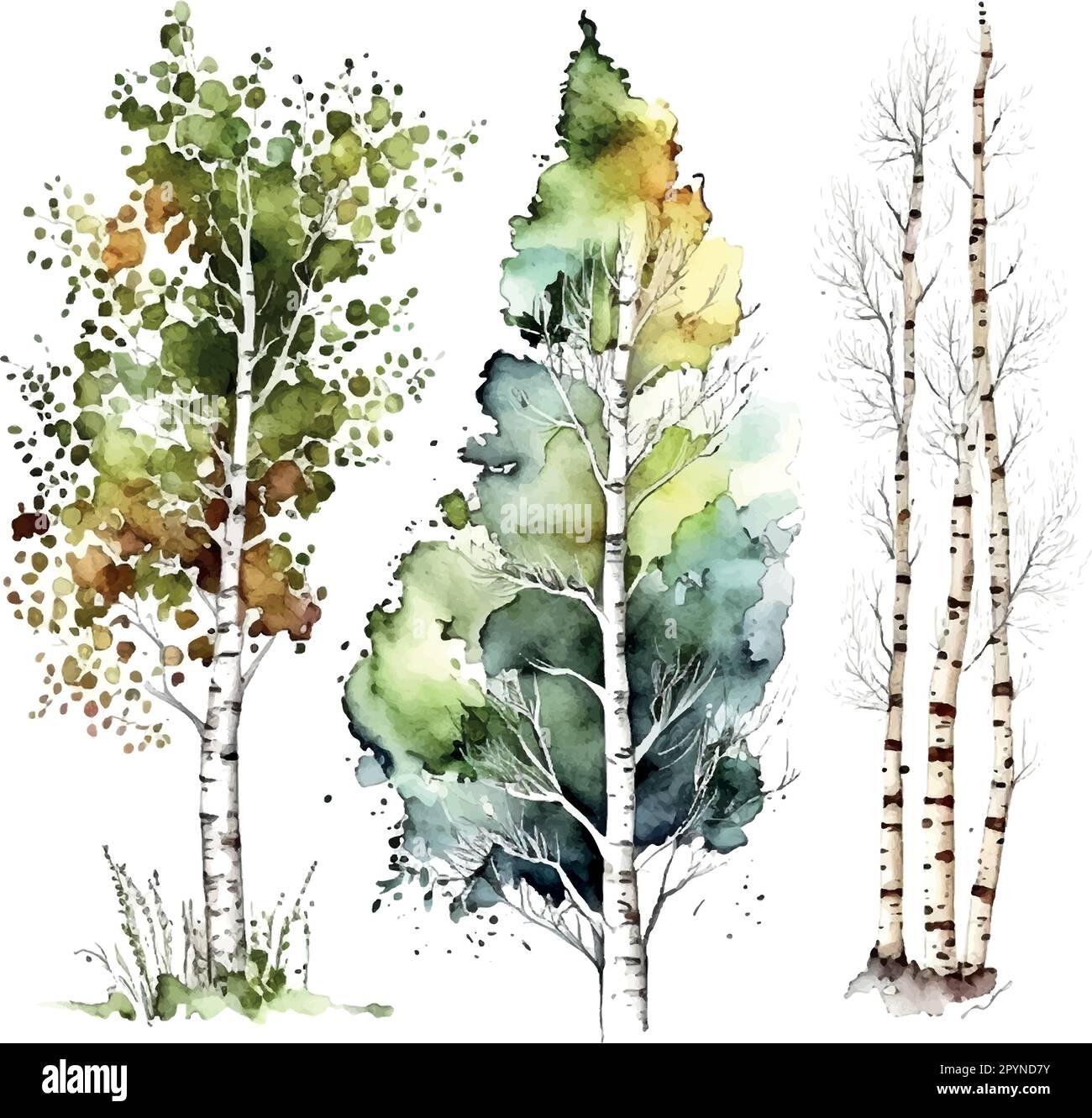 Aquarell Birkenbäume Russland Baum Designelement für Tapeten, Website Hintergrund Vektordarstellung. Stock Vektor