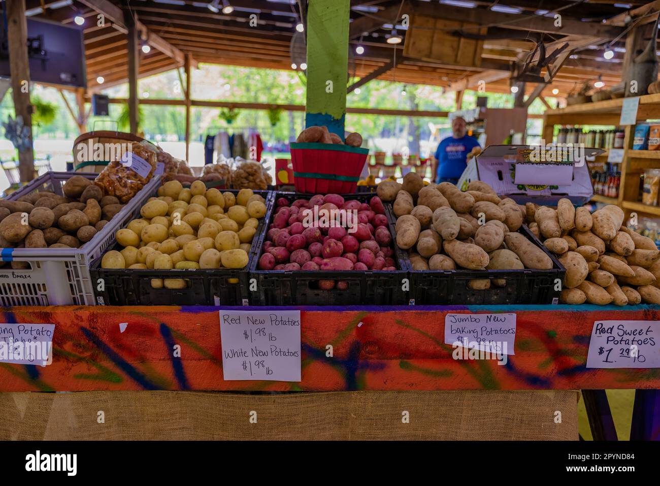 Bryson, North Carolina, USA - 19. April 2023: Darnell Farms Open-Air-Markt, auf dem Kartoffeln in Kunststoffkisten auf einem Tisch verkauft werden. Stockfoto