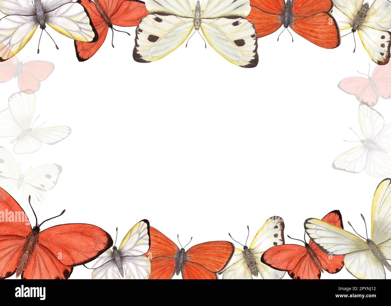 Horizontaler Rahmen mit isolierten Schmetterlingen auf weißem Hintergrund. Aquarelle Illustration für Postkartendesign, Einladungsvorlage, Valentinskarte Stockfoto