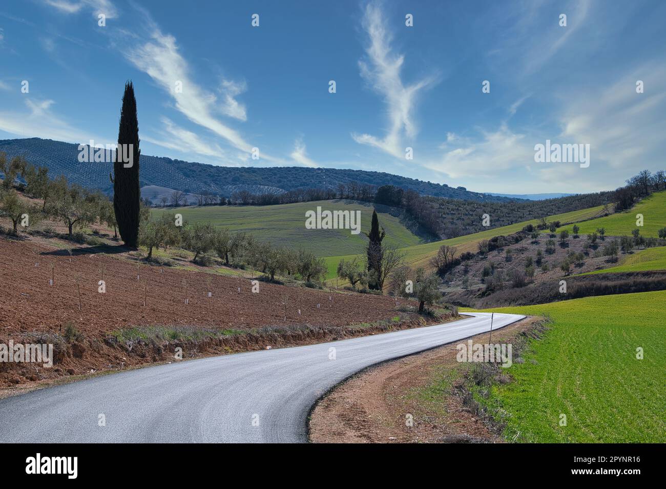 Andalusische Landwirtschaft: Große Flächen mit Getreide-, Oliven- und Mandelbäumen zwischen Hügeln und Bergen Stockfoto