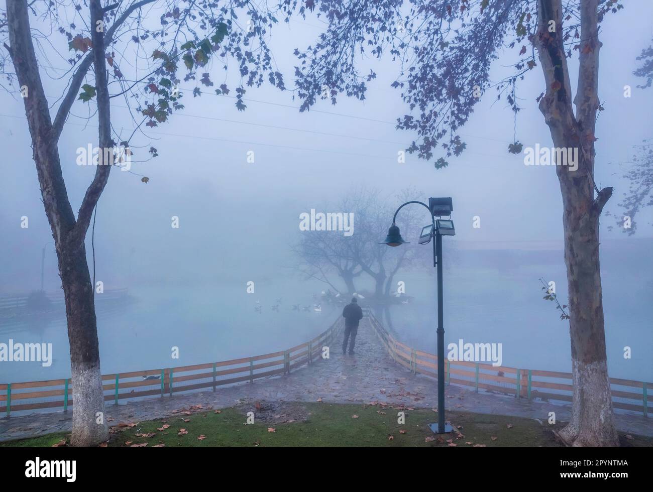 Einsamer Mann in Vryssi Tyrnavou, ein malerischer kleiner See und ein schönes Erholungsgebiet in der Nähe von Tyrnavos Stadt, Larissa, Thessalien, Griechenland. Stockfoto