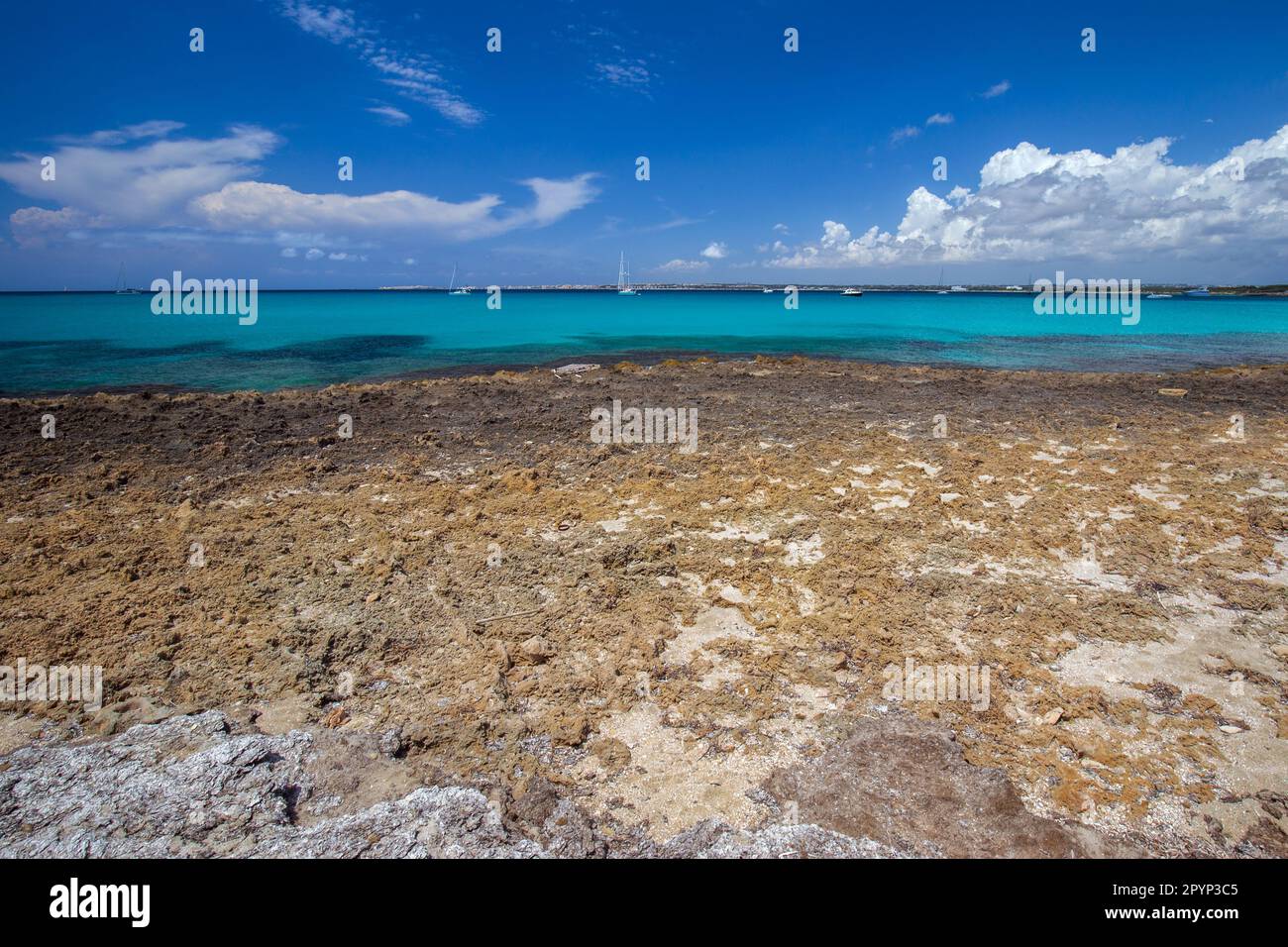 La costa rocciosa di Punta Pizzo nel Salento in Apulien Stockfoto