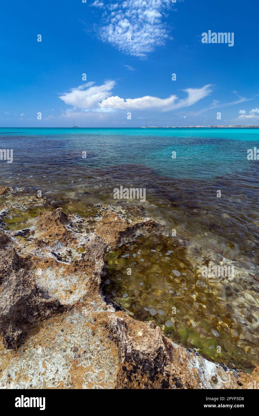 La costa rocciosa di Punta Pizzo nel Salento in Apulien Stockfoto