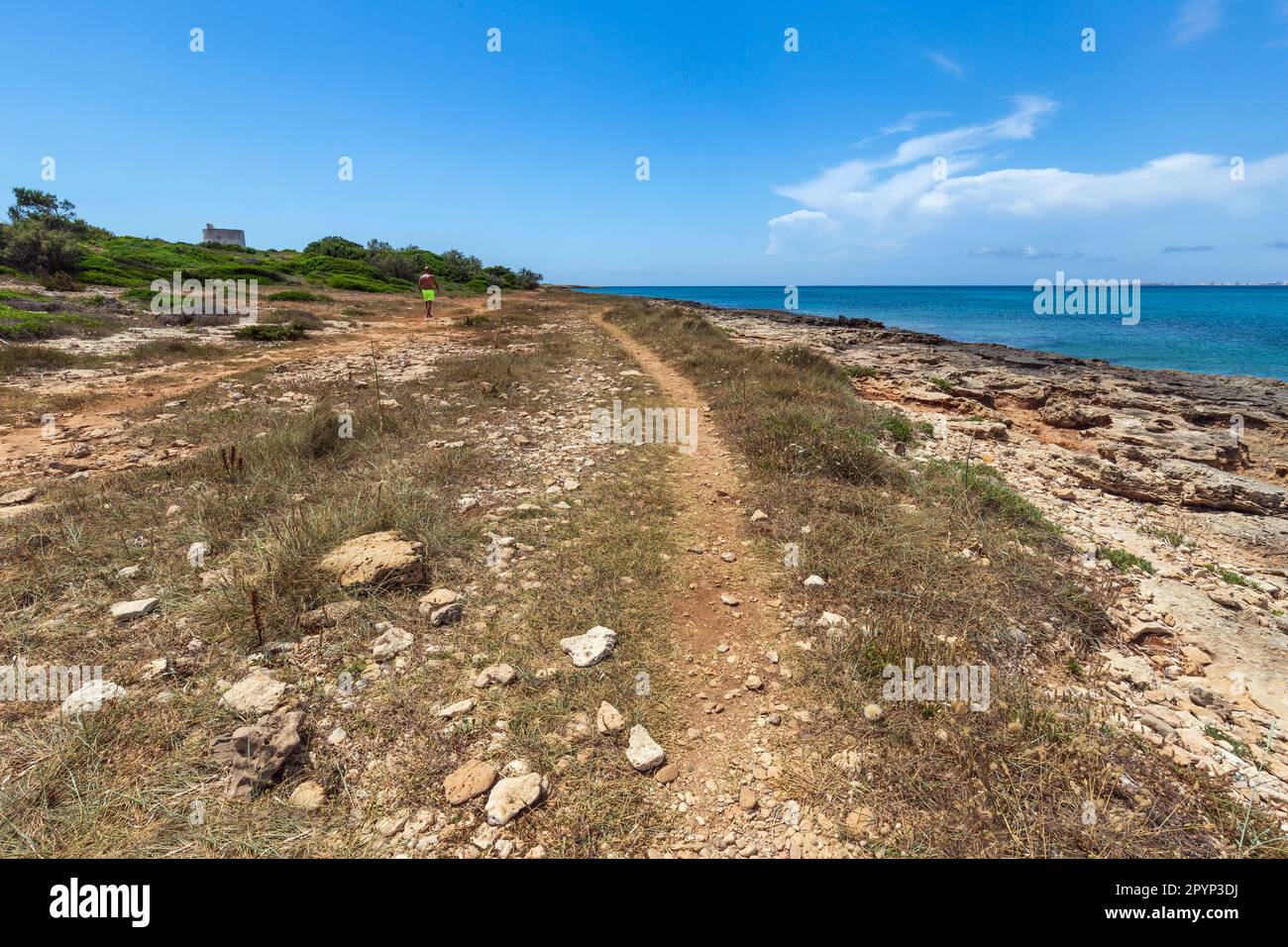 La costa rocciosa di Punta Pizzo nel Salento in Apulien Stockfoto