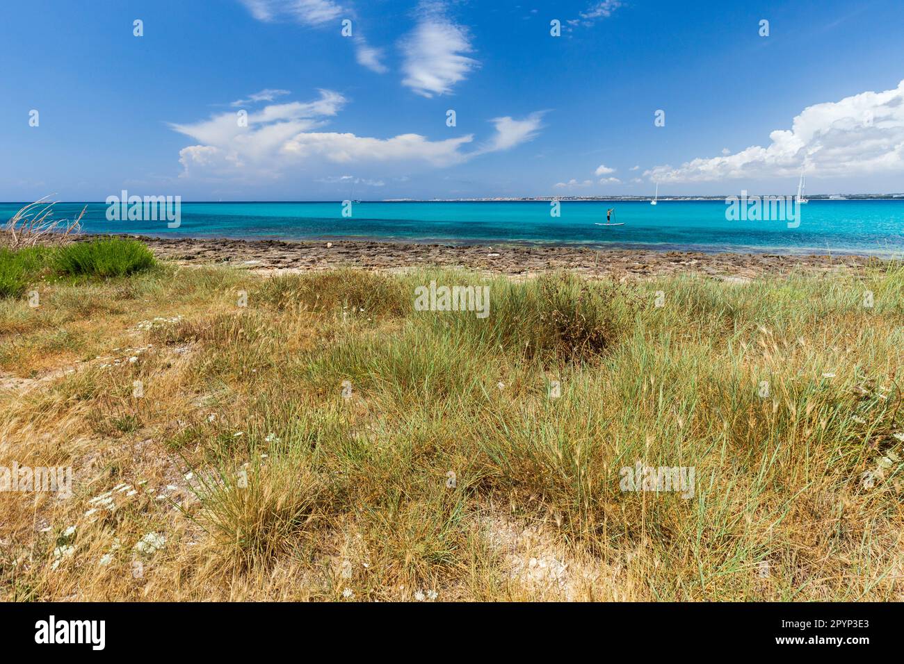 La costa rocciosa di Punta Pizzo nel Salento in Apulien Stockfoto