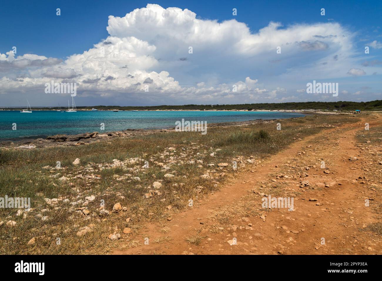 La costa rocciosa di Punta Pizzo nel Salento in Apulien Stockfoto