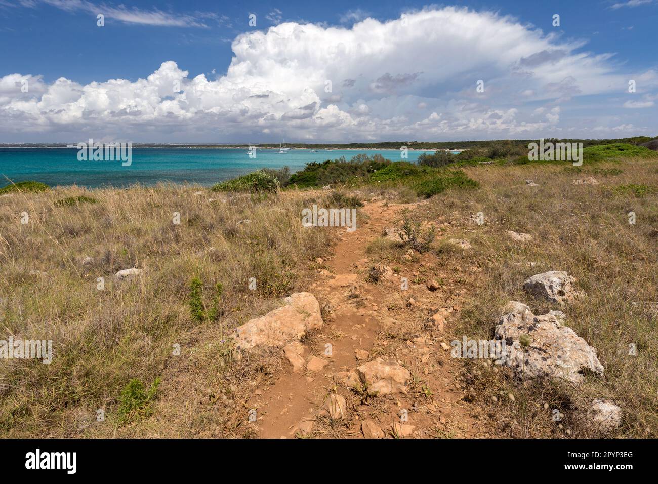 La costa rocciosa di Punta Pizzo nel Salento in Apulien Stockfoto