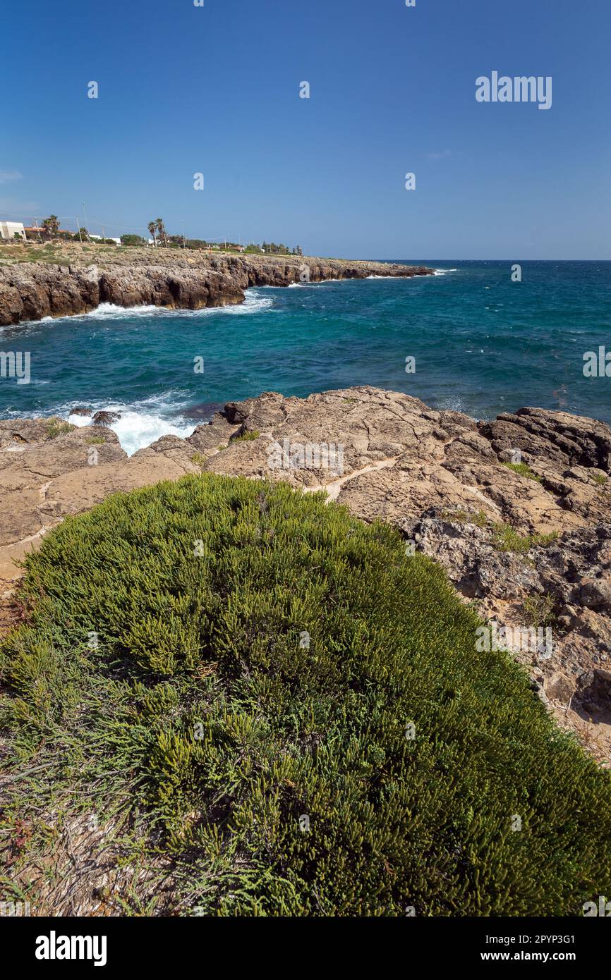 La costa rocciosa di Punta Pizzo a Lecce in Apulien Stockfoto