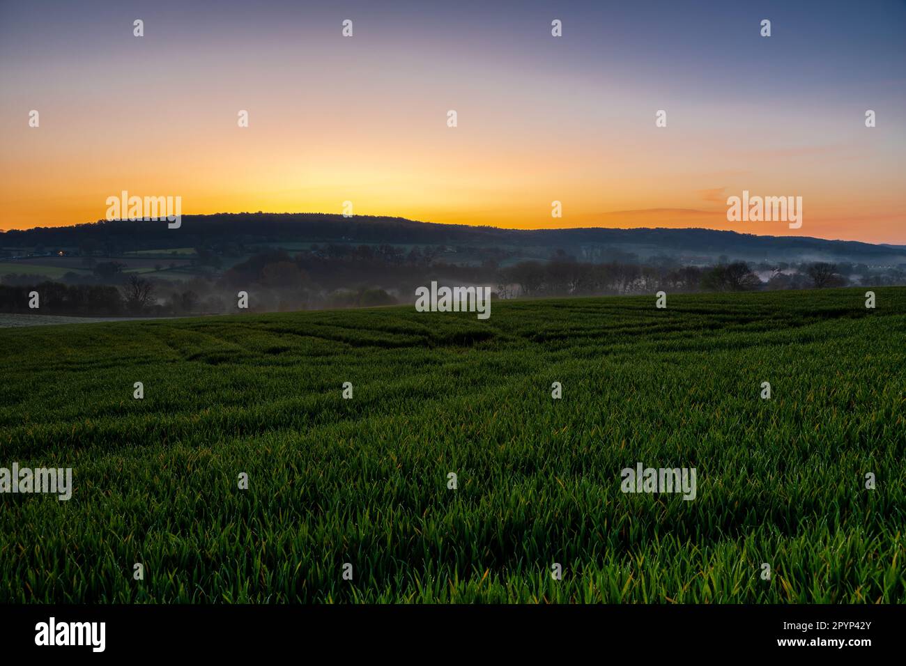 Farbenfroher Sonnenaufgang an einem Sommermorgen mit einem kleinen Nebel auf dem Boden und spektakulärer Aussicht auf die holländischen Hügel in der Nähe des Dorfes Kuttingen Stockfoto