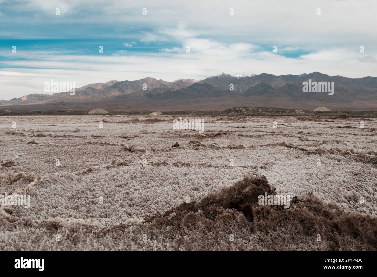 Eine riesige Grasebene mit einer majestätischen Bergkette im Hintergrund Stockfoto