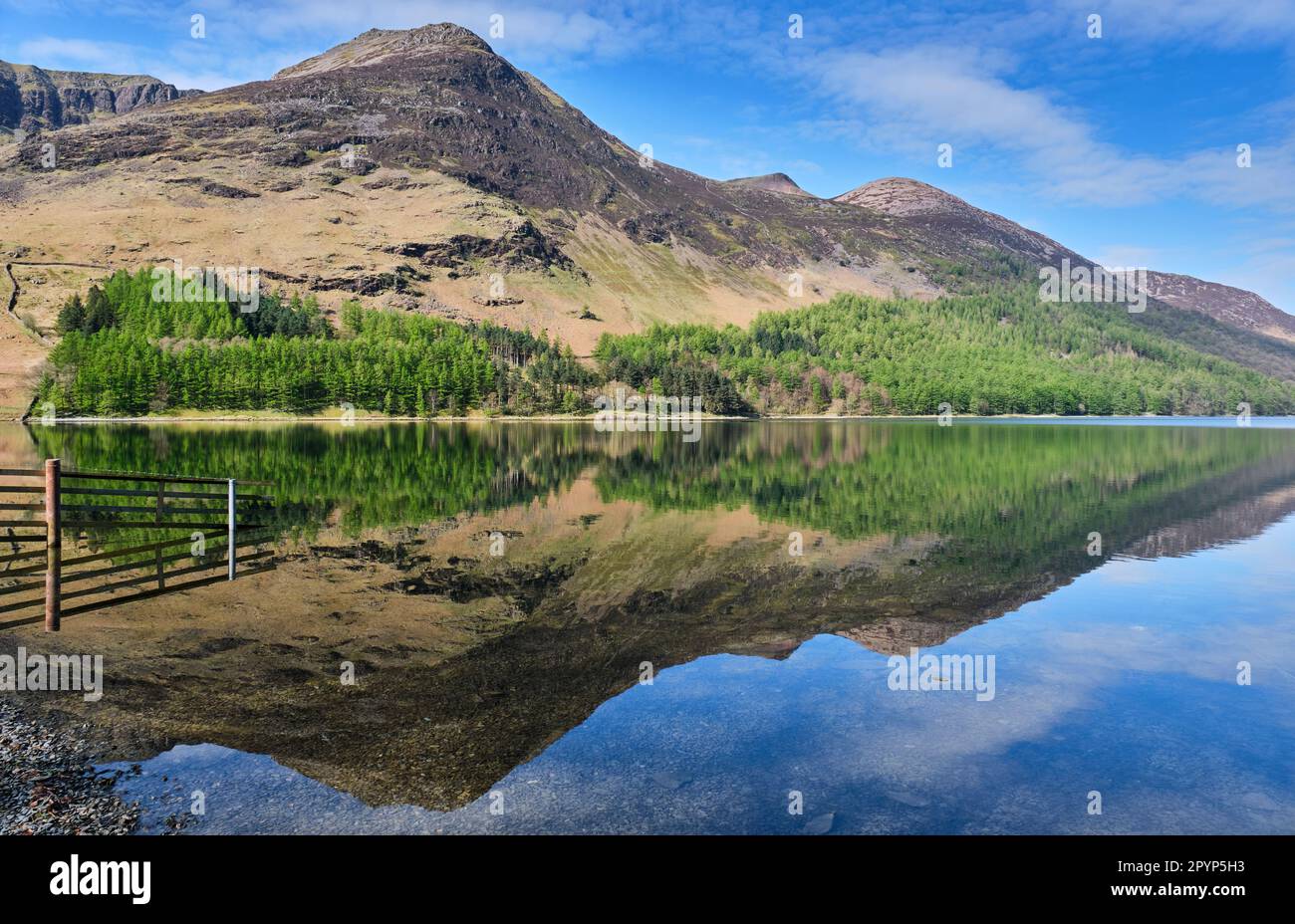 Der hohe Stiel und der rote Hecht spiegeln sich in Buttermere, Lake District, Cumbria Stockfoto